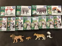 タカラトミー アニア 動物フィギュア 6種セット - メルカリ