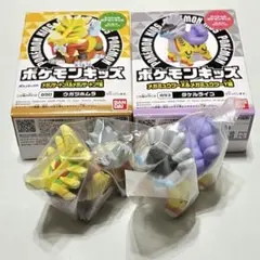 ポケモンキッズ ウガツホムラ タケルライコ