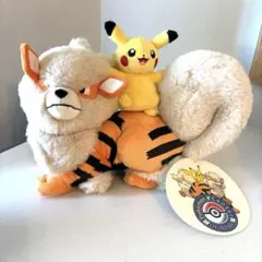 ポケモンセンターオキナワ限定 ウインディとピカチュウぬいぐるみ 入手
