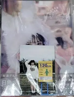 特典付 日向坂46東村芽依1st写真集　見つけた