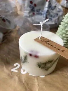 no.4 ソイ ボタニカルキャンドル ブルーバード 南天