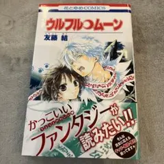 子猫を保護したので資金を求めてます様 リクエスト 2点 まとめ商品