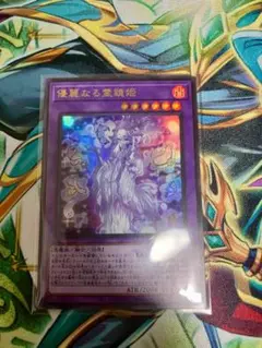 優麗なる霊鏡姫　ウルトラ　WPP6-JP063