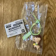 KUMATAN カラフルマルチチャーム ロバタン ガチャ