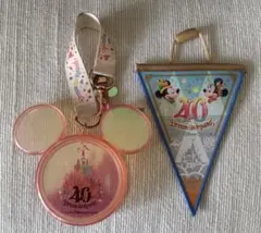 ディズニー40周年記念キーホルダー・フラッグセット