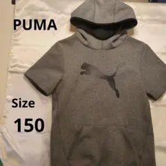 PUMA◆美品◆ビッグロゴ　グレーパーカー Size150トレーナー生地
