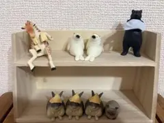 どうぶつサウナ 5種セット※棚付き