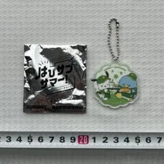 サブウェイ×はぴだんぶい アクリルキーホルダー第1弾ポチャッコ＆タキシードサムのサムネイル