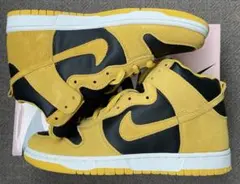 NIKE DUNK HIGH PRO SB 20TH IOWA 28cm