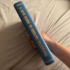 A NEW GUIDE TO ENGLISH GRAMMARのサムネイル