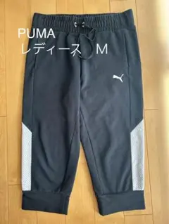 Item thumbnail for item d22dcd44-aef8-4ea8-aba0-9c57bb224c9f