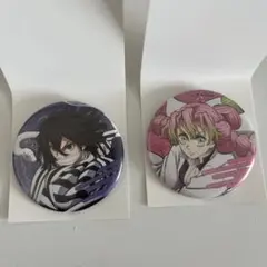 鬼滅の刃 無限城編 ランダム缶バッジ 伊黒小芭内 甘露寺蜜璃