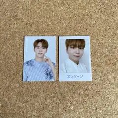 SEVENTEEN 2020 JAPAN DOME TOUR スングァン トレカ