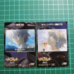 エヴァンゲリオン 渚カヲル カード ×2 NO.020,026