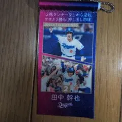 中日ドラゴンズ　田中幹也 メモリータペストリー