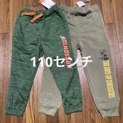 Item thumbnail for item 0e3e9e77-f40c-4796-9afa-421300ea9b82