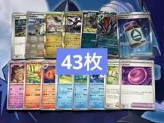 Nのゾロアークex NのポイントアップSR まとめ売り