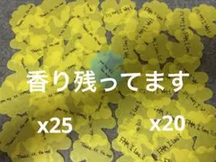 ジヨン ファンミーティング 落下物 紙吹雪 60枚セット 花 gdragon