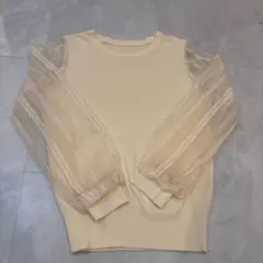 Item thumbnail for item 1c4f59cb-d7f8-481e-9753-d5418cc73bbb