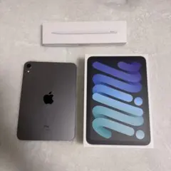 iPad mini (第6世代) スペースグレイ 256GB Wifiモデル