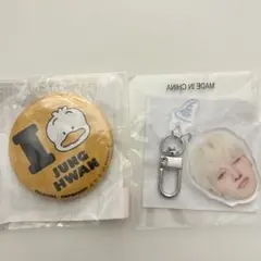 TREASURE はぴだんぶい 缶バッジ 顔アクキー 哀 ジョンファン