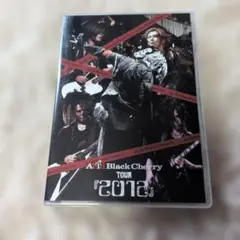 2026年最新】acid black cherry トレカの人気アイテム - メルカリ