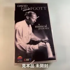 デヴィッド・ヘルフゴット DAVID HELFGOTT／ 音楽の旅人 VHS