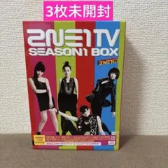 2NE1　トゥエニィワン【2NE1 TV SEASON1 BOX】DVD