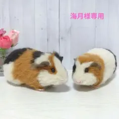 海月様専用 羊毛フェルト