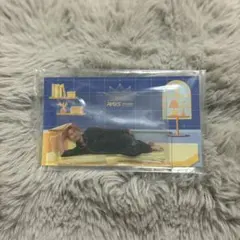 岩本照 アクスタ RAYS