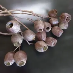 Midi様 リクエスト 2点 まとめ商品