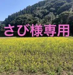 さび様専用ページです·͜· ︎︎ᕷ