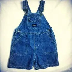 oshkoshのサムネイル