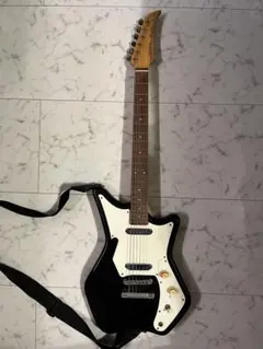 Fujigen pp380のサムネイル