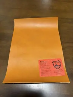 Item thumbnail for item 5ab002d0-3a14-4f5c-a1fa-28a145d6fcac