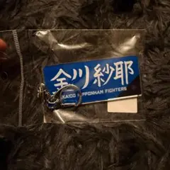 限定品 乃木坂46×ファイターズ コラボグッズ 金川紗耶 キーホルダー 野球部のサムネイル