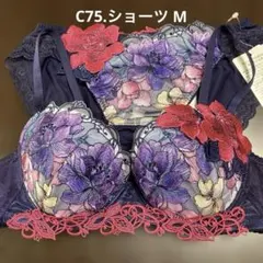 Wacoal Salute60g ブラジャー ショーツ セット D75 - メルカリ