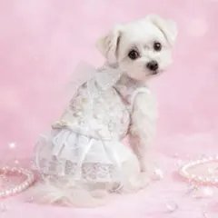 犬服 バルーンワンピース 背中リボン 小型犬 ハンドメイド 上品 可愛い ドレス