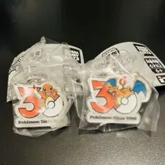 ポケモン30周年 メタルチャームマスコット ヒトカゲ　リザードン