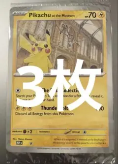 発送予定日24日〜イギリスロンドン自然史博物館ピカチュウPikachu at 発送予定日24日〜 5枚 イギリスロンドン自然史博物館ピカチュウPikachu