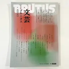 【即日発送】BLUTUS⭐︎ブルータス　文芸　2025夏