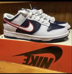限定 Nike W Dunk Low PRM Houston レディース25cm