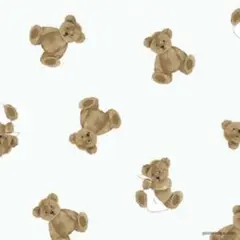 ゅゅ様専用