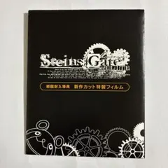2026年最新】シュタインズ ゲート フィルムの人気アイテム - メルカリ