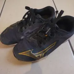 Item thumbnail for item c44ab307-9dd5-4790-8d9a-890a76169a8d