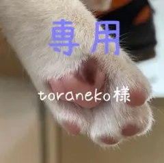 toraneko様 リクエスト 3点 まとめ商品