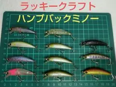 あっくん様 リクエスト 2点 まとめ商品