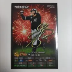 Calbeeポテトチップスカードプロ野球スピリッツA