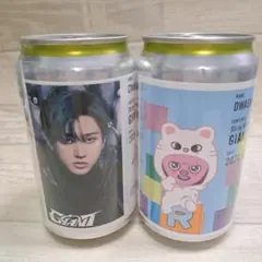 StrayKids GIANTラベル缶チャンビン/DWAEKKI 2点セット