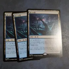 MTG グルームレイクの境界 日本語版 4枚 - メルカリ